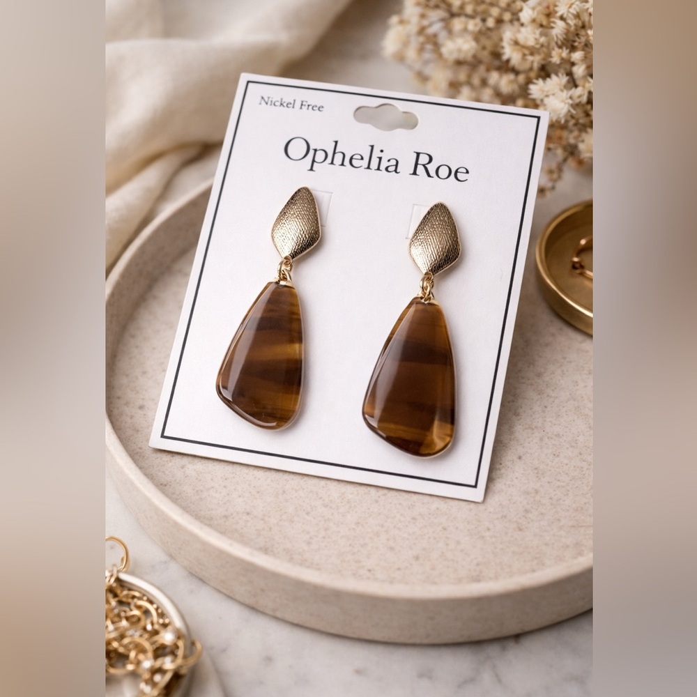 ⚠️5/25: Tiger Eye Resin Drop Earrings